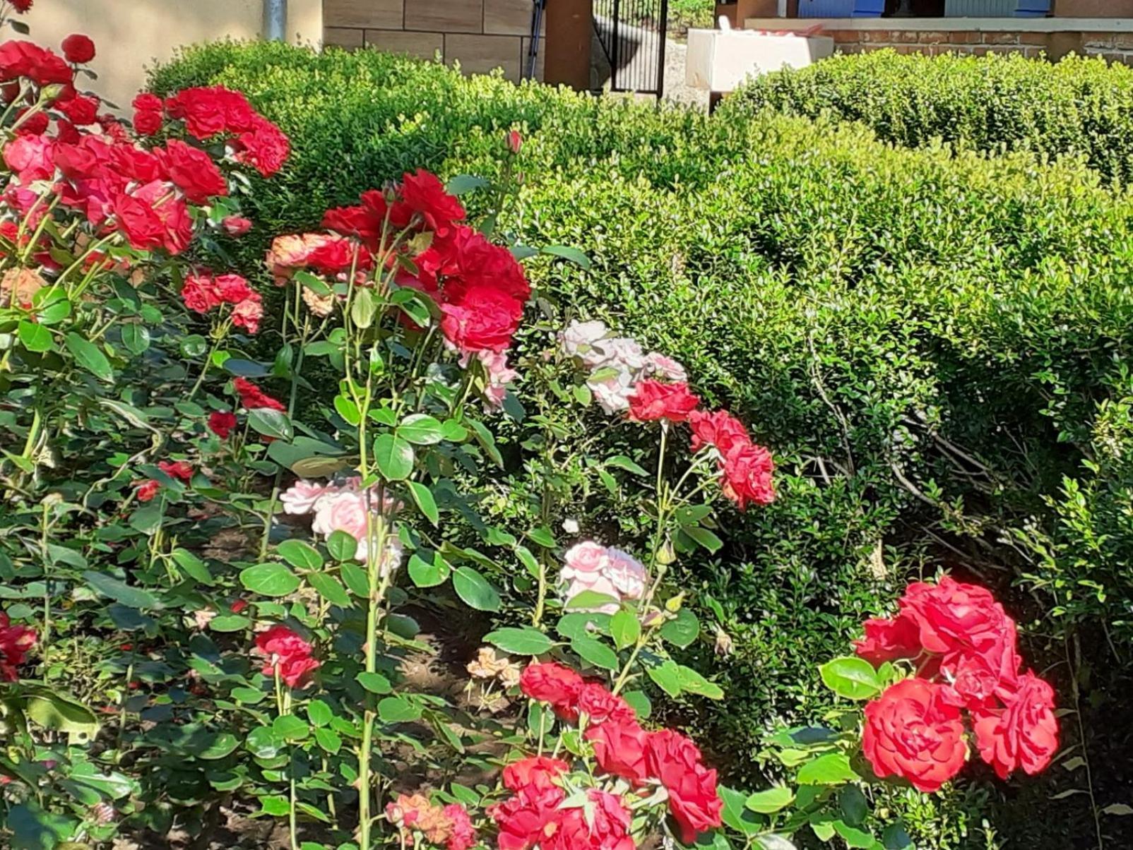 Ferienwohnung Smjestaj Na Selu,Porodica Gvozdenac Sipovo Exterior foto